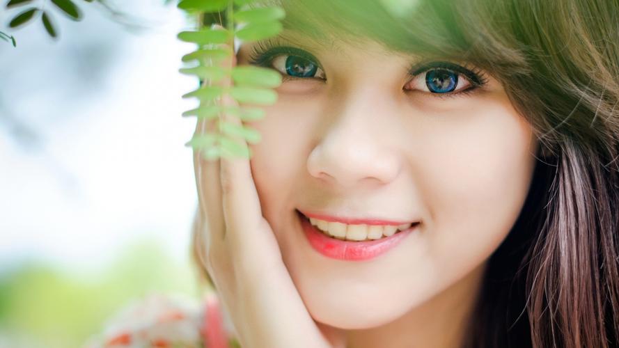 拓展合作新机遇 第八届进博会招商路演走进河北